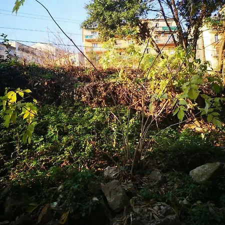 アパート Fenice トリエステ